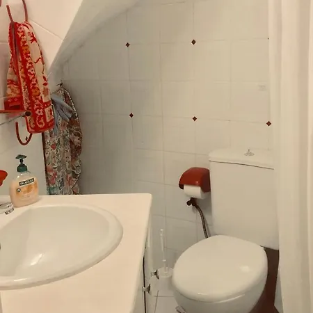 Ferienhaus Aposperia Traditional Karpathian Loft *